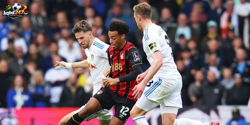 Tỷ Lệ Kèo Bournemouth Vs Leeds United, NHA - 31/10/2026 3 Cầu thủ ra sân đến từ Bournemouth vs Leeds United